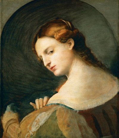 Young Woman in Profile by Palma il Vecchio